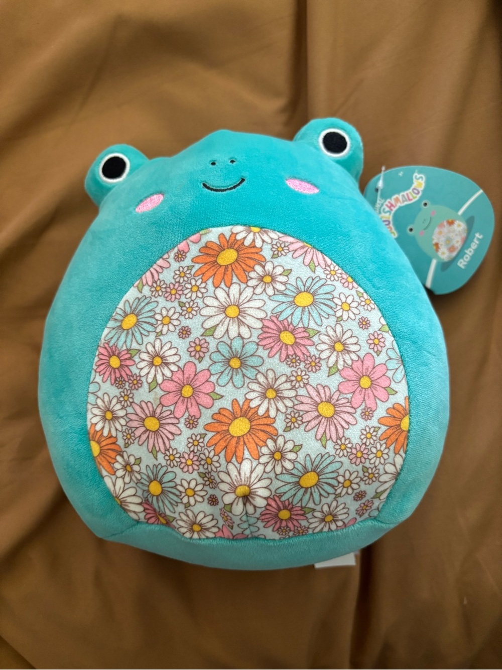 Squishmallows Robert NWT